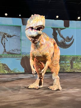 福井県立恐竜博物館に投稿された画像（2023/8/19）