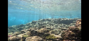 青の洞窟専門店　沖縄ダイビングショップ和に投稿された画像（2023/8/19）