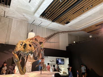 DinoScience 恐竜科学博 2023@TOKYO MIDTOWNに投稿された画像（2023/8/19）