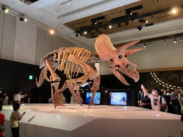 DinoScience 恐竜科学博 2023@TOKYO MIDTOWNに投稿された画像（2023/8/19）