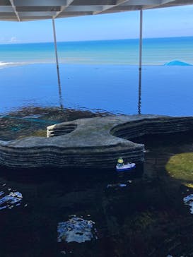 上越市立水族博物館 うみがたりに投稿された画像（2023/8/19）