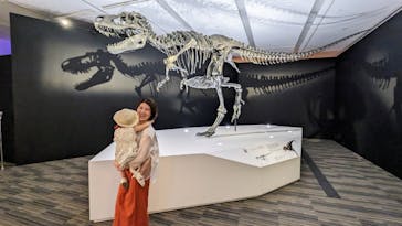 DinoScience 恐竜科学博 2023@TOKYO MIDTOWNに投稿された画像（2023/8/19）