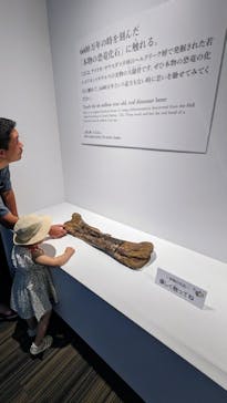 DinoScience 恐竜科学博 2023@TOKYO MIDTOWNに投稿された画像（2023/8/19）