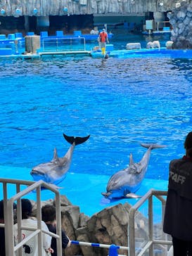 名古屋港水族館に投稿された画像（2023/8/19）