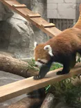 天王寺動物園に投稿された画像（2023/8/19）