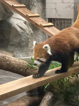 天王寺動物園に投稿された画像（2023/8/19）