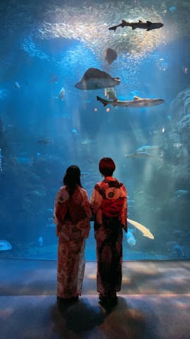 新江ノ島水族館の口コミ ｜ドレスコードが浴衣なので、皆さ｜アソビュー！