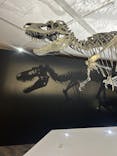 DinoScience 恐竜科学博 2023@TOKYO MIDTOWNに投稿された画像（2023/8/19）
