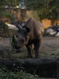 天王寺動物園に投稿された画像（2023/8/19）