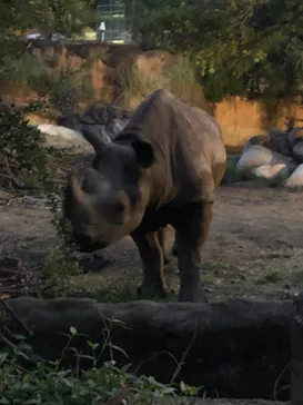天王寺動物園に投稿された画像（2023/8/19）