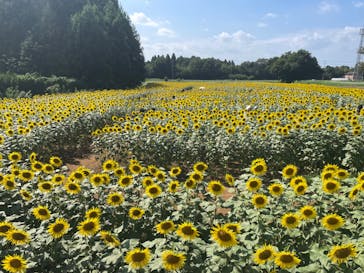 成田ゆめ牧場に投稿された画像（2023/8/19）