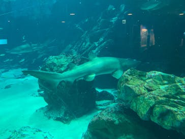 マリンワールド海の中道に投稿された画像（2023/8/19）