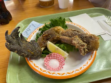 野外民族博物館 リトルワールドに投稿された画像（2023/8/19）