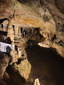 あぶくま洞に投稿された画像（2023/8/19）