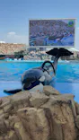名古屋港水族館に投稿された画像（2023/8/19）