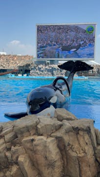 名古屋港水族館に投稿された画像（2023/8/19）