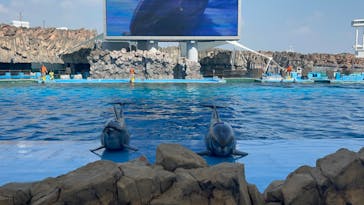 名古屋港水族館に投稿された画像（2023/8/19）