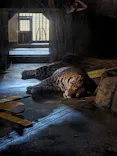 天王寺動物園に投稿された画像（2023/8/20）