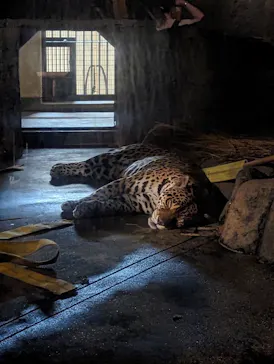 天王寺動物園に投稿された画像（2023/8/19）