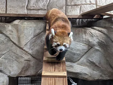 天王寺動物園に投稿された画像（2023/8/19）