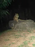 天王寺動物園に投稿された画像（2023/8/20）