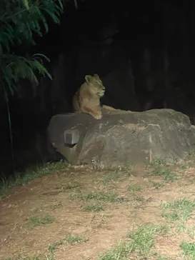 天王寺動物園に投稿された画像（2023/8/19）
