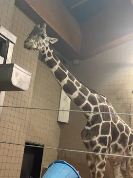 天王寺動物園に投稿された画像（2023/8/19）