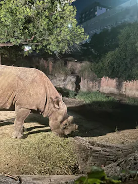天王寺動物園に投稿された画像（2023/8/19）