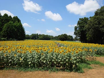 成田ゆめ牧場に投稿された画像（2023/8/19）