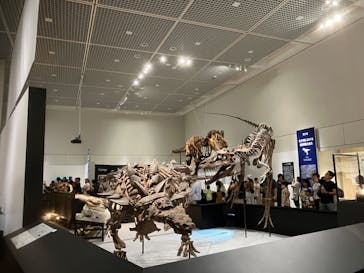 大阪市立自然史博物館に投稿された画像（2023/8/19）