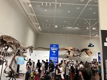 大阪市立自然史博物館に投稿された画像（2023/8/19）