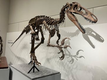 大阪市立自然史博物館に投稿された画像（2023/8/19）