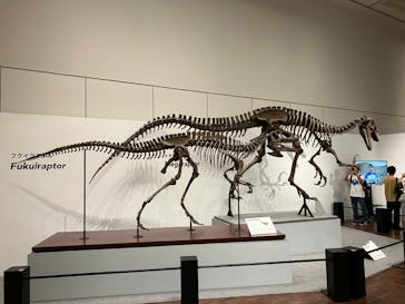 大阪市立自然史博物館に投稿された画像（2023/8/19）