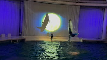 アクアワールド茨城県大洗水族館に投稿された画像（2023/8/19）