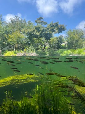 環境水族館アクアマリンふくしまに投稿された画像（2023/8/19）