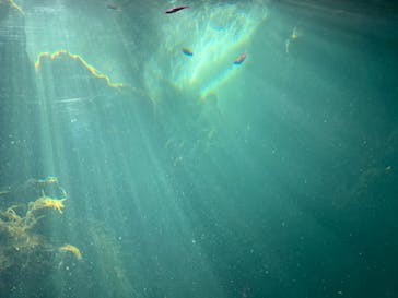 環境水族館アクアマリンふくしまに投稿された画像（2023/8/19）