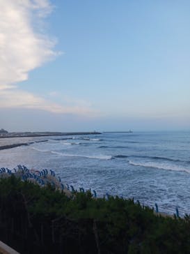 アクアワールド茨城県大洗水族館に投稿された画像（2023/8/20）