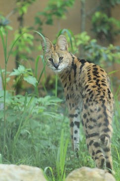 那須どうぶつ王国に投稿された画像（2023/8/20）