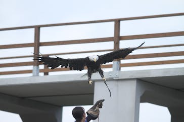那須どうぶつ王国に投稿された画像（2023/8/20）