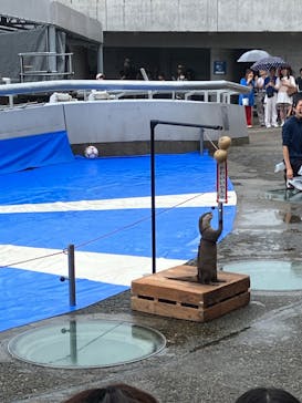 大分マリーンパレス水族館 「うみたまご」に投稿された画像（2023/8/20）