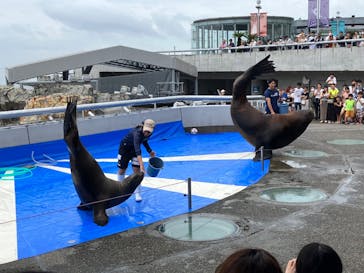大分マリーンパレス水族館 「うみたまご」に投稿された画像（2023/8/20）
