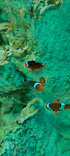 サンシャイン水族館に投稿された画像（2023/8/20）
