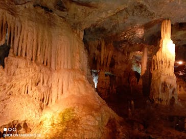 あぶくま洞に投稿された画像（2023/8/20）