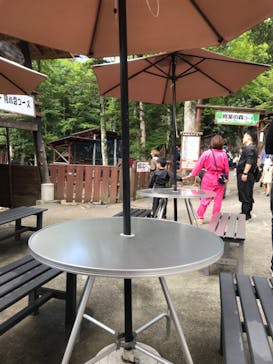 忍者の里　チビッ子忍者村に投稿された画像（2023/8/20）