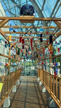 環境水族館アクアマリンふくしまに投稿された画像（2023/8/20）