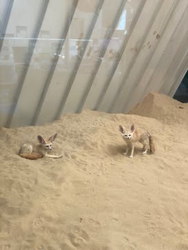 環境水族館アクアマリンふくしまに投稿された画像（2023/8/20）