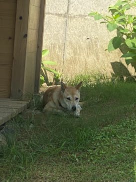 環境水族館アクアマリンふくしまに投稿された画像（2023/8/20）