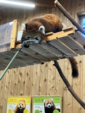 伊豆シャボテン動物公園に投稿された画像（2023/8/20）