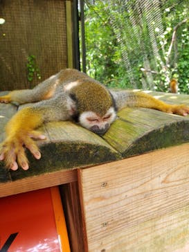 長崎バイオパークに投稿された画像（2023/8/20）