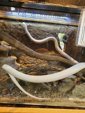 長崎バイオパークに投稿された画像（2023/8/20）